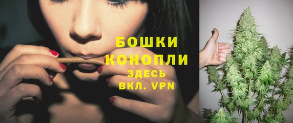 крисы Вязьма