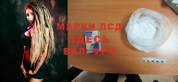 гашик Вяземский