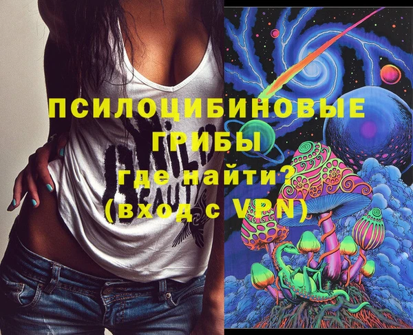 крисы Вязьма