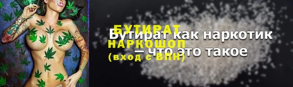 гашик Вяземский