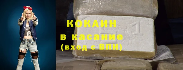 гашик Вяземский