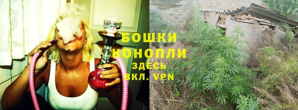 гашик Вяземский