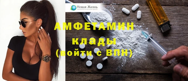 гашик Вяземский