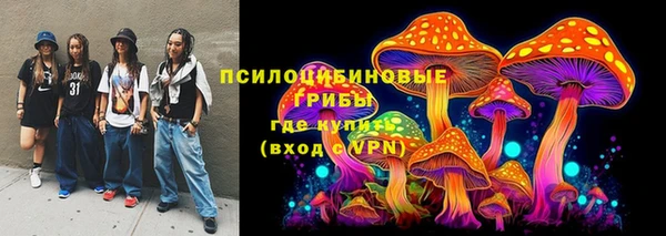 гидропоника Горняк