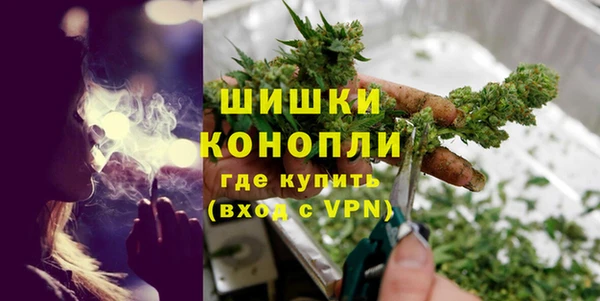 гашик Вяземский