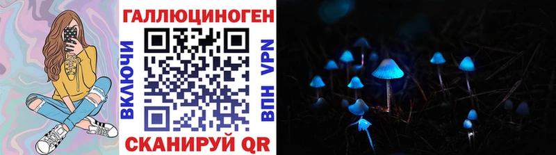 Купить  Чебаркуль  Псилоцибиновые грибы Cubensis 