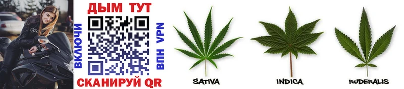Купить Чебаркуль Конопля Bruce Banner